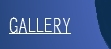 Image Gallery